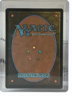 Wizards of the Coast MTG Abandoned Air Temple 263 Avatar Last Airbender Land - Image 2
