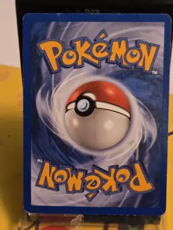 Pokemon TCG Delibird 49/144 Skyridge Common Regular English NM - Image 4