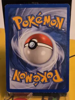 Pokemon TCG Delibird 49/144 Skyridge Common Regular English NM - Image 5