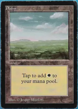 Plains (C Dark) Beta VHP/DAMAGED Basic Land MTG CARD (ID# 518453) ABUGames - Image 1