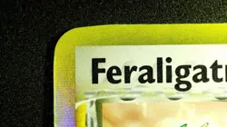 Feraligatr (Delta Species) 2/101 Holo Pokemon EX Dragon Frontiers Vintage LP/MP - Image 4