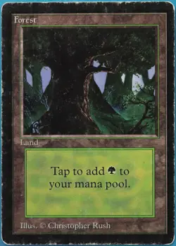 Forest (C Dark Tree) Beta VHP/DAMAGED Basic Land CARD (518422) ABUGames - Image 1