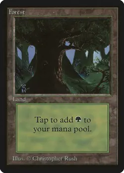 Forest (C Dark Tree) Beta PLD Basic Land MAGIC THE GATHERING CARD ABUGames - Image 1