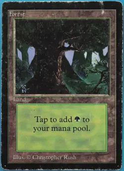 Forest (C Dark Tree) Beta VHP/DAMAGED Basic Land CARD (518421) ABUGames - Image 1