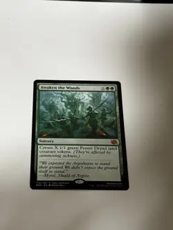 Awaken the Woods The Brothers' War Regular - Image 1