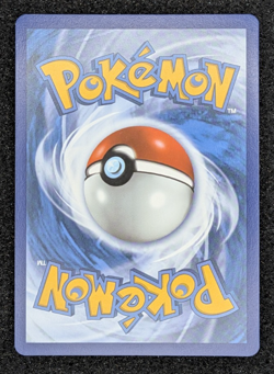 Eevee 125/203 - SWSH07: Evolving Skies Pokemon TCG Rayquaza Cameo LOT x2 - Image 3