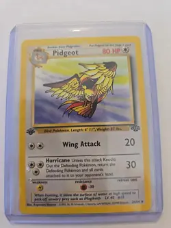 Vintage 1999 Jungle 1st Edition Pidgeot Rare 24/64 Pokemon Card NM - Image 1
