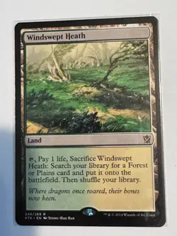 MTG - Windswept Heath - Khans of Tarkir - NM - Image 1