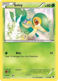 Snivy 5/124 Fates Collide Regular LP-Lightly Played Pokemon TCG - Image 1