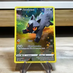 Pokemon Poochyena GG33/GG70 Character Rare Holo NM Crown Zenith - Image 1