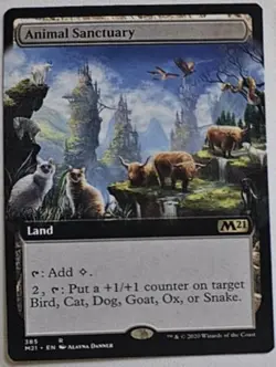 MTG Animal Sanctuary (Extended Art) Core Set 2021 Regular - Image 1
