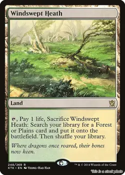 Windswept Heath [KTK - 248] - NM TCG MTG - Image 1