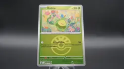 Budew (Friend Ball) 016/217 Common Ascended Heroes Pokemon Reverse Holo NM - Image 1