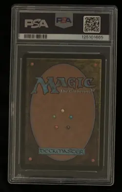 Vivi Ornitier Borderless PSA 10 Graded Final Fantasy MTG - Image 2