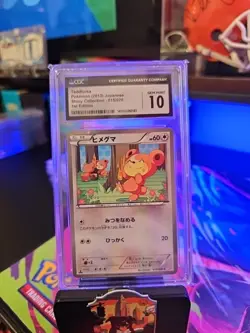 Teddiursa Pokemon 2013 Japanese Shiny Collection 015/020 1st Edition Holo POP 17 - Image 5