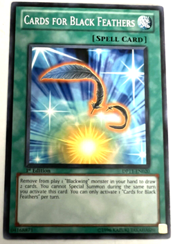 YuGiOh! - Cards For Black Feathers - DP11-EN020 - 1st Edition - Common - Image 1