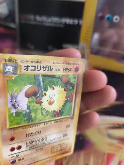 Pokemon Karte Card Rasaff Primeap Southern Island 1997 Rare Wotc japanese PL - Image 2
