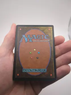 Enlightened Tutor Mirage Regular - Image 2