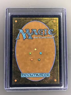 MTG Avatar Last Airbender Abandoned Air Temple (#0263 - Rare) NM TLA - Image 2