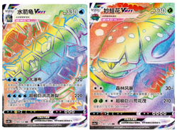 Lot 4 Pokemon Chinese Venusaur/Blastoise VMAX 160+161 HR&129+130 SR Sword Shield - Image 3