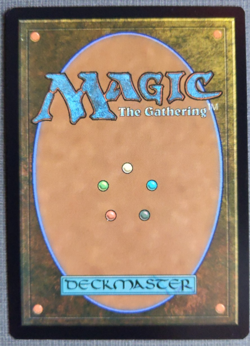 Abundant Countryside | MTG Commander Lorwyn Eclipsed | NM | Rare Land | - Image 3