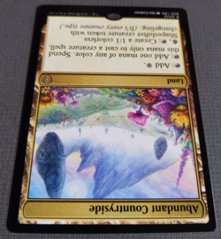 Abundant Countryside | MTG Commander Lorwyn Eclipsed | NM | Rare Land | - Image 4