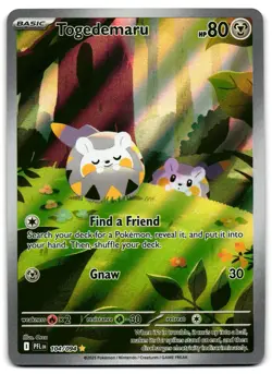 Togedemaru 104/094 - 🌊 Phantasmal Flames Illustration Rare Pokemon TCG 🖤 - NM - Image 1