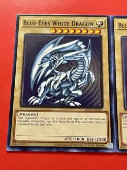 2x Blue-Eyes White Dragon | SDK Art | LDK2-ENK01 | NM | Common | YuGiOh! - Image 3