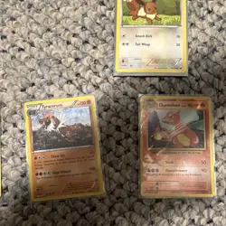 Pokemon TCG 13 Card Lot Holo Eevee Charmander Charmeleon Cyndaquil Darkrai EN/JP - Image 3