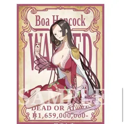 60Pcs Trading Card ONE PIECE Nami Hiyori Boa Hancock OPCG Card Sleeve 67X92mm - Image 3