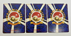 Growlithe & Arcanine Intro Pack Squirtle Deck 3Set Japanese Pokemon Card MP - Image 2