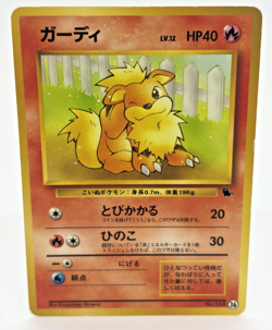 Growlithe & Arcanine Intro Pack Squirtle Deck 3Set Japanese Pokemon Card MP - Image 3