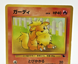 Growlithe & Arcanine Intro Pack Squirtle Deck 3Set Japanese Pokemon Card MP - Image 5