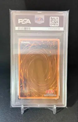 PSA10 Black Rose Dragon 25th Yu-Gi-Oh! Japanese - Image 2