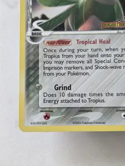 Tropius 23/101 Delta Species Reverse Holo STAMPED Card Dragon Frontiers Pokemon - Image 2
