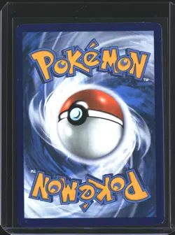 Riolu 010 Holo Promo ME: Mega Evolution Promo Pokemon NM/M - Image 2