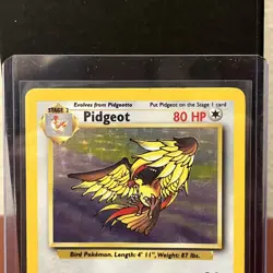 Pidgeot 8/64 - Pokemon Holo Rare Card 8/64 Jungle Unlimited Vintage - LP - Image 3