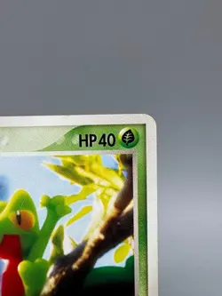 Treecko 037/PCG-P Promo Yokohama Center Opening Japanese Pokemon Card MP+ - Image 5