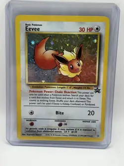 Eevee - 11 - Black Star Promo - Holo - Pokemon TCG - MP/HP - Image 1