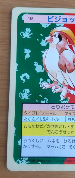 Pokemon Card Japanese Top sun Pidgeot 1995 vintage from Japan - Image 3