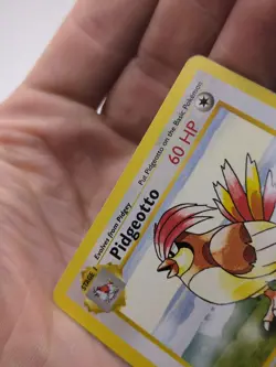 Pokemon TCG Pidgeotto Base Set Shadowless 22/102 Regular Rare 1st Ed WOTC - Image 2
