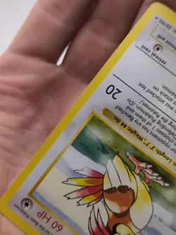 Pokemon TCG Pidgeotto Base Set Shadowless 22/102 Regular Rare 1st Ed WOTC - Image 5