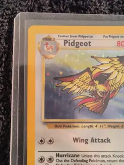 1999 Pokemon TCG Pidgeot Holo Rare 8/64 jungle Vintage WOTC NM - Image 2