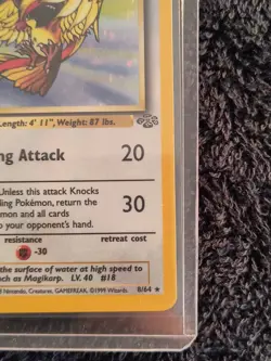 1999 Pokemon TCG Pidgeot Holo Rare 8/64 jungle Vintage WOTC NM - Image 4