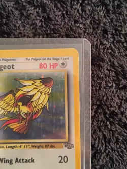 1999 Pokemon TCG Pidgeot Holo Rare 8/64 jungle Vintage WOTC NM - Image 5