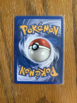 Pokemon Fisherman 125/144 Skyridge Uncommon Regular Supporter e-Reader - Image 2