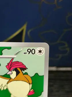 Pokemon Pidgeotto Illustration Rare Holofoil SV03: Obsidian Flames 208/197 NM - Image 3