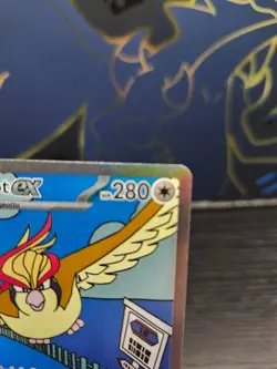 2023 Pokemon SV Obsidian Flames Pidgeot ex Special Illustration Rare #225/197 NM - Image 3