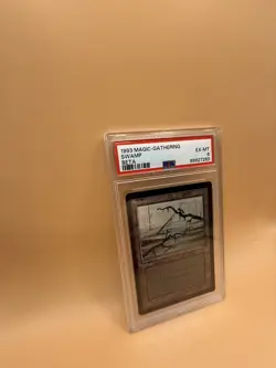 Swamp (C) – MTG Beta (1993) – PSA 6 EX-MT – Magic the Gathering - Image 2