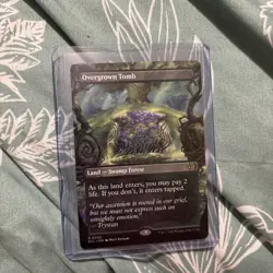 Overgrown Tomb (Borderless) Lorwyn Eclipsed Regular - Image 1